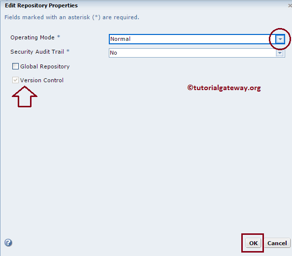 Informatica Repository Service 5